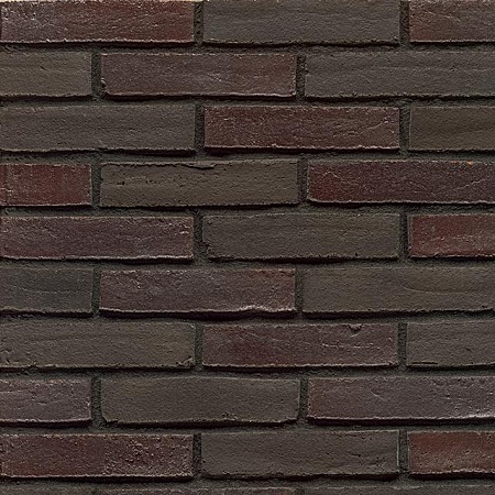 Violettschwarz