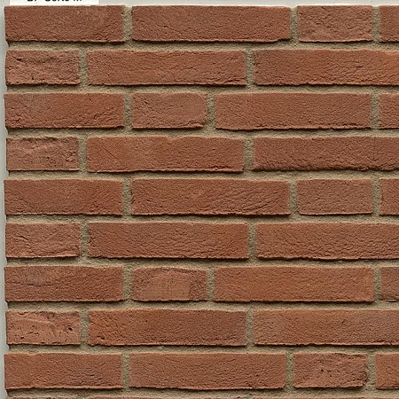 Sorte M Rotbraun Bunt